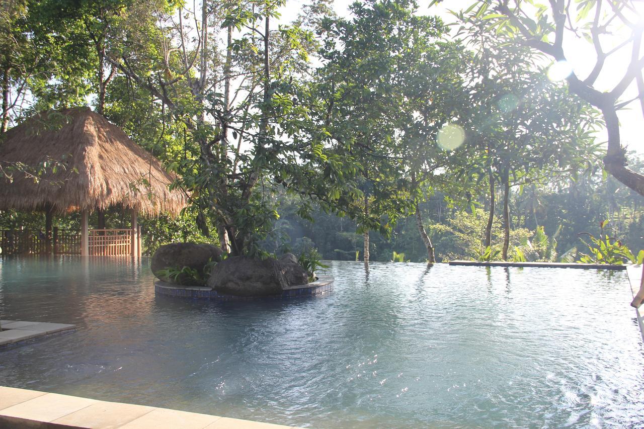 Tejaprana Resort & Spa Убуд Екстер'єр фото The resort's swimming pool