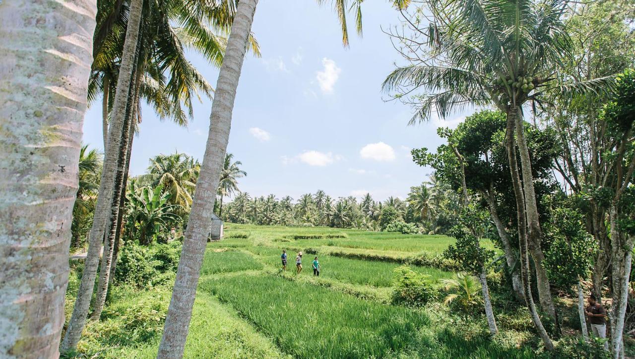 Tejaprana Resort & Spa Убуд Екстер'єр фото A paddy field in Sri Lanka