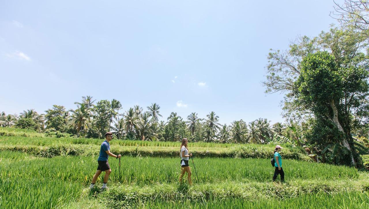 Tejaprana Resort & Spa Убуд Екстер'єр фото Trekking in Bali